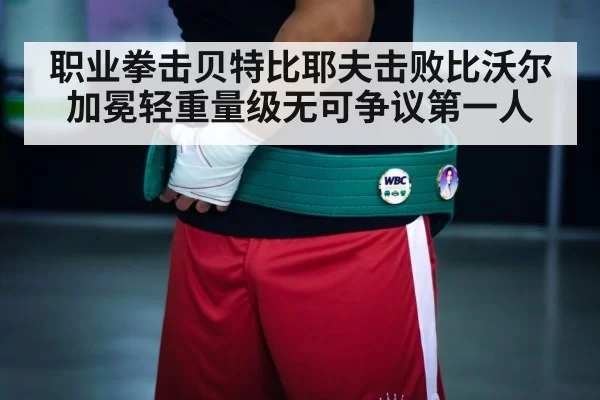 boxing champion belt